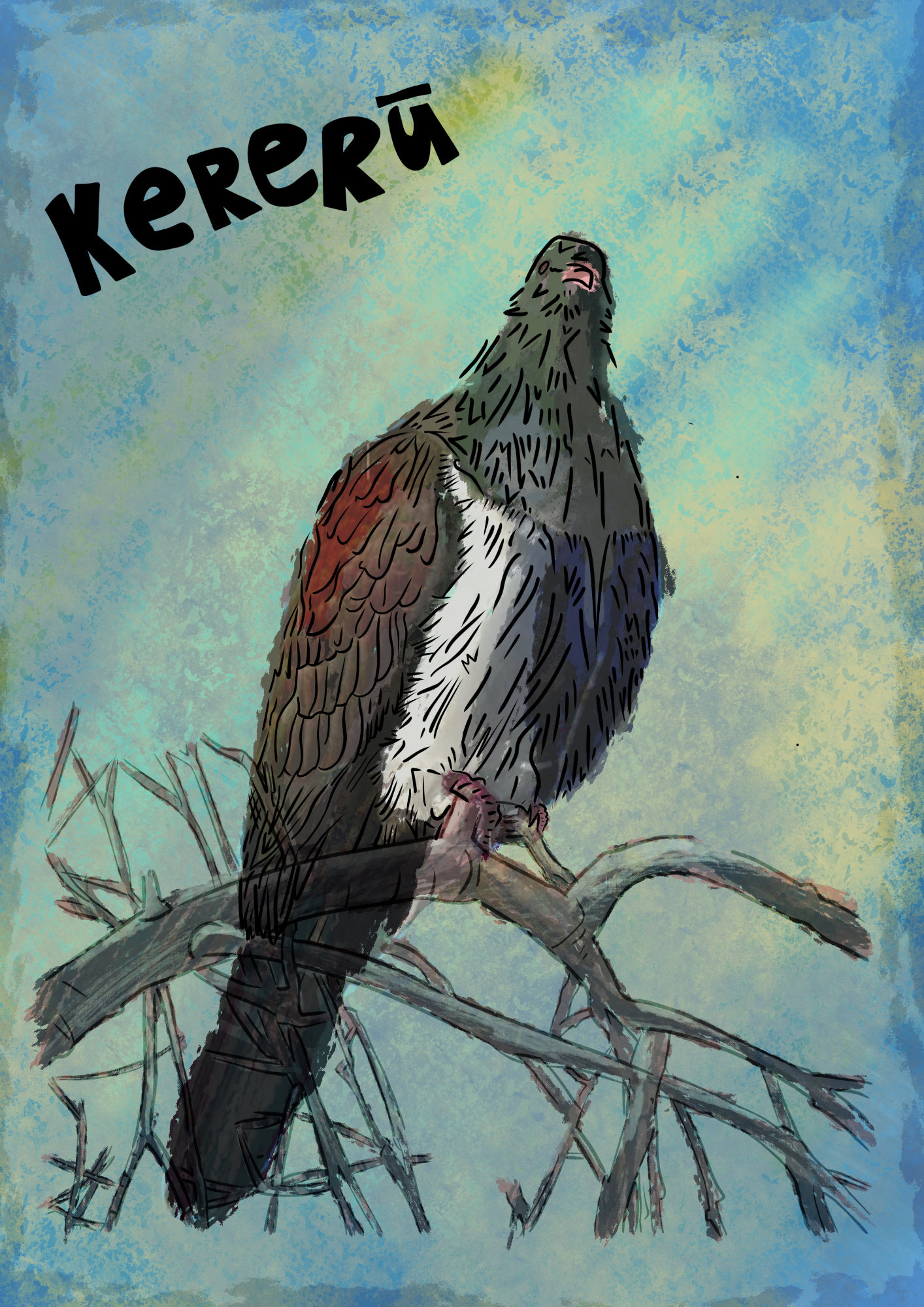 Kereru